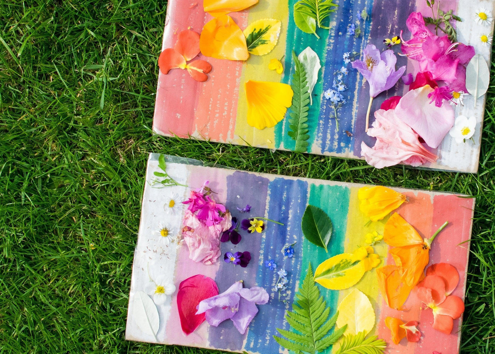 Nature Colour Hunt- Getting Kids Outdoors this Summer