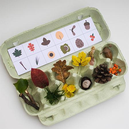 autumn-egg-box