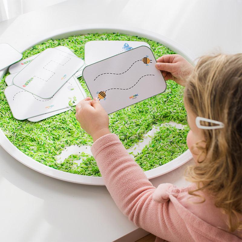 Minibeast pre-writing flash cards
