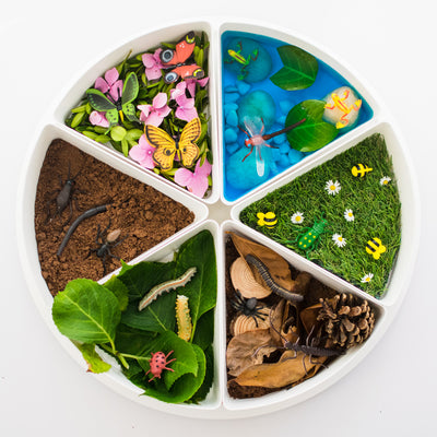 Exploring the Magic of a Minibeast Small World Sensory Bin and the Benefits of Small World Play