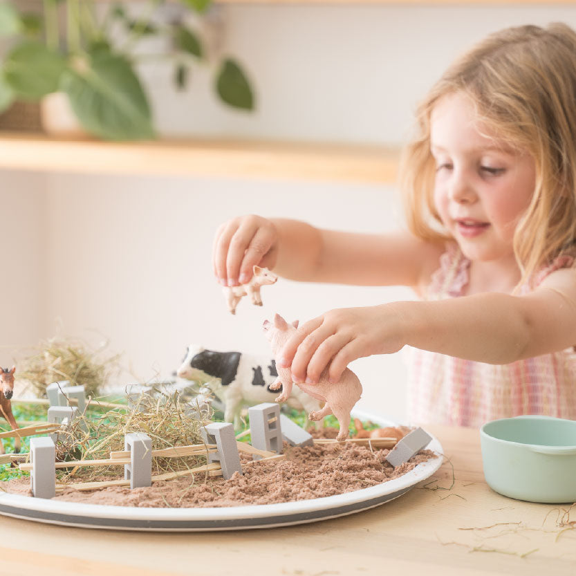 Child playing will small world sensory farm