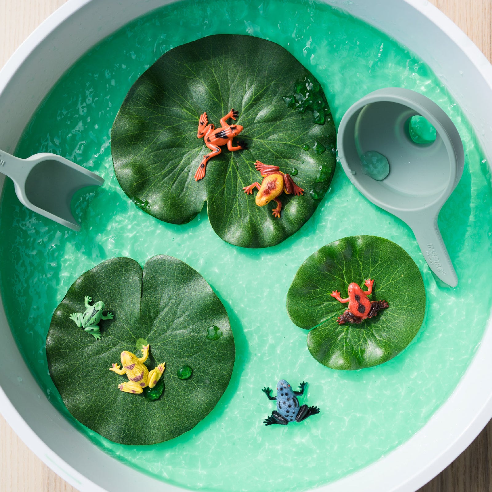 Jelly in PlayTRAY frog pond