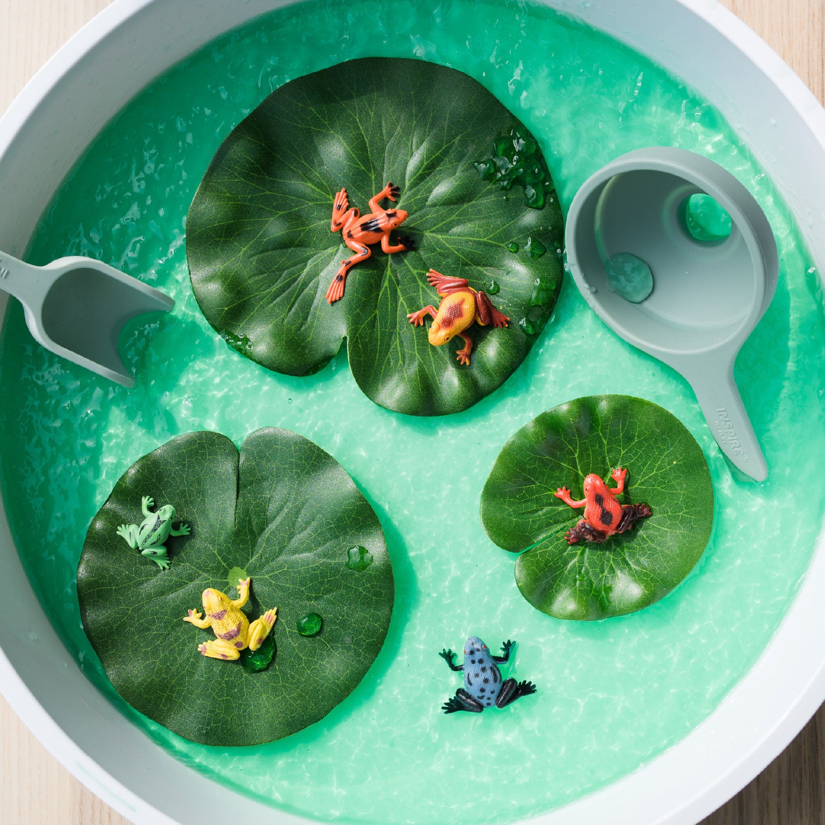 Jelly in PlayTRAY frog pond