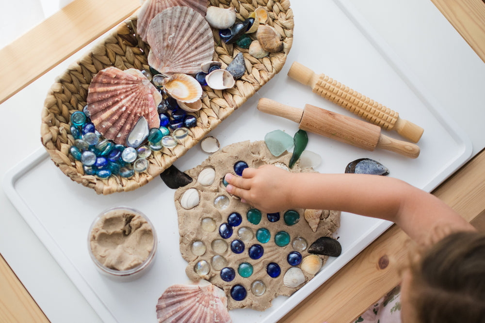 Mixed Sea Shells  Early Years Resources